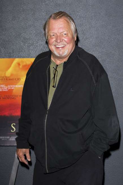 David Soul