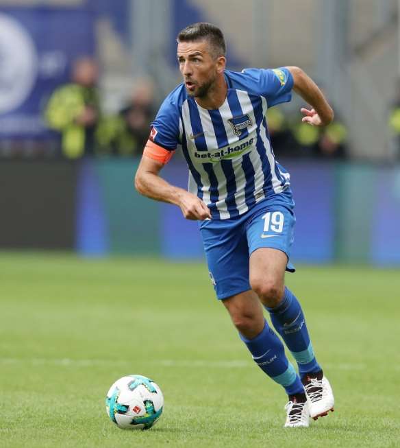 Vedad Ibisevic