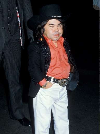 Herve Villechaize