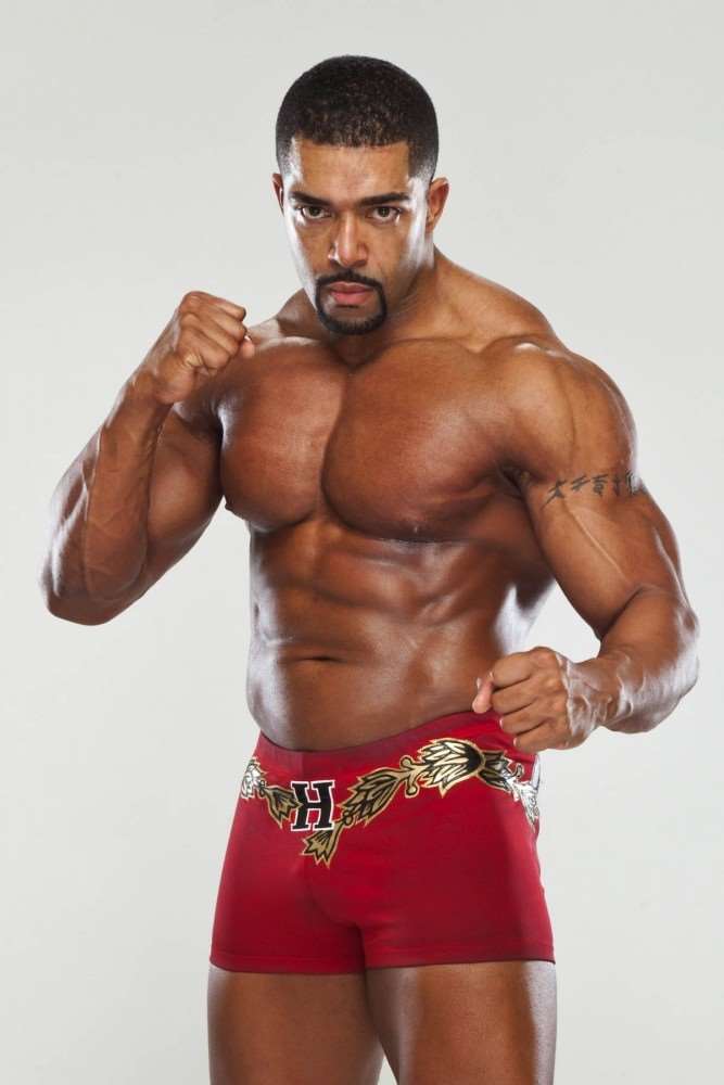 David Otunga Birthday, Real Name, Age, Weight, Height, Family, Facts