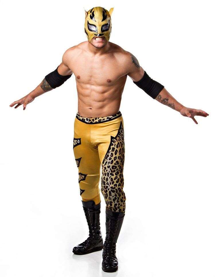 Lince Dorado