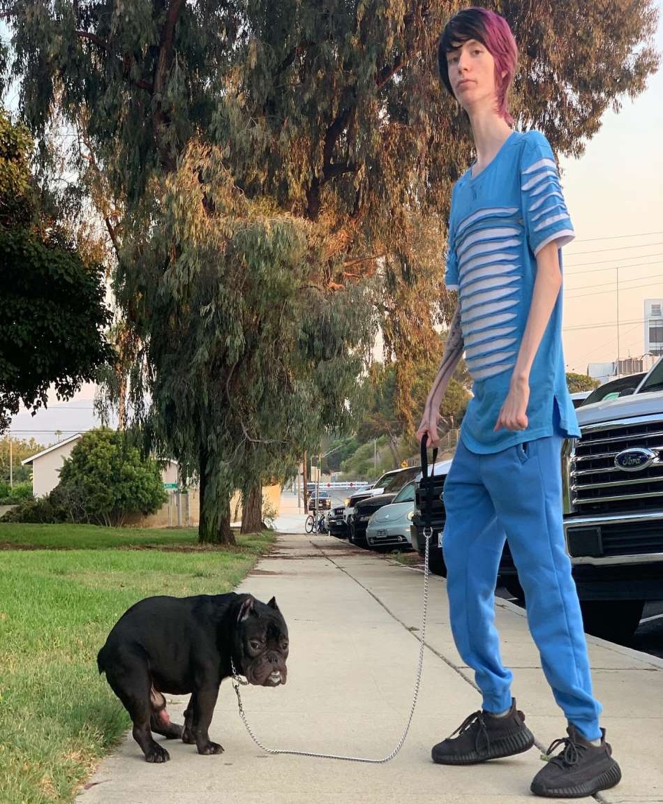 Daddy Long Neck