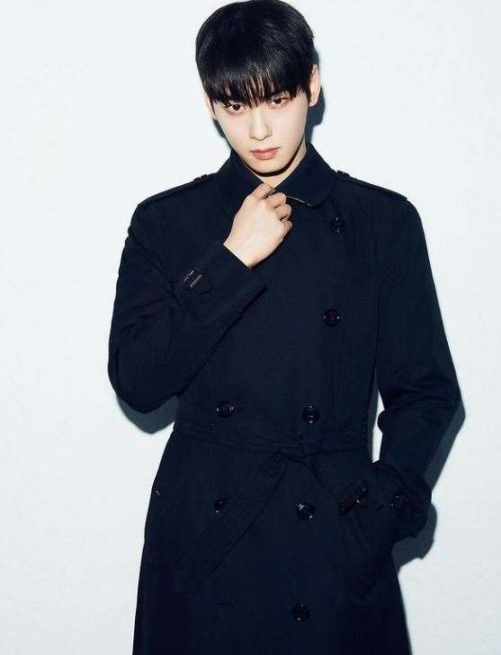 Cha Eun-woo