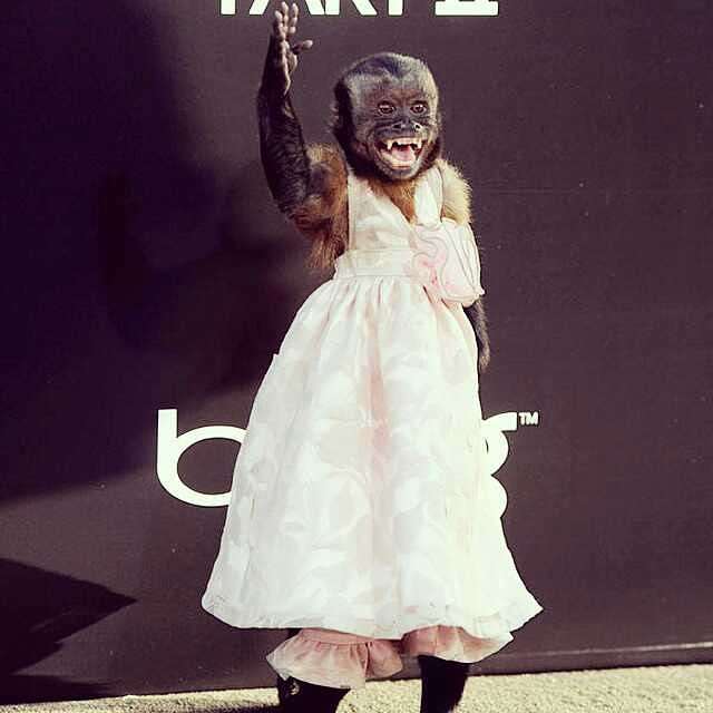 Crystal the Monkey