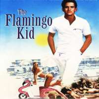 Steven WeberThe Flamingo Kid (Film 1984), American Playhouse (TV Series 1984)