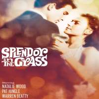 Warren BeattySplendor in the Grass (Film 1961)