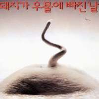 Song Kang-hoThe Day a Pig Fell into the Well (Film 1996)