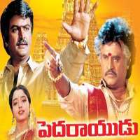 M. S. NarayanaPeddarayudu (Film 1995)