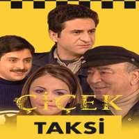 Gozde KansuTV Series 