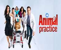 Wyatt OleffAnimal Practice (TV Series 2012), Someone Marry Barry (Film 2014)