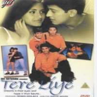 Shilpa SaklaniTere Liye as Ritu (Movie 2001)