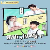 Wei XiaoTV Series 
