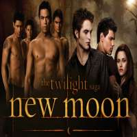 Kiowa GordonThe Twilight Saga: New Moon (Film 2009)