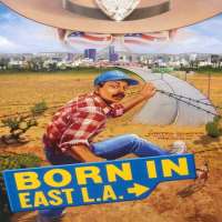 Jason Scott LeeBorn in East L.A. (Film 1987), Matlock (TV Series 1988)