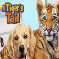Daniel DiMaggioBurn Notice (TV Series 2013), A Tiger's Tail (Film 2014)