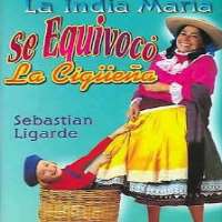 Eleazar GomezSe equivoco la ciguena (Film 1993), Al derecho y al derbez (TV Series 1995)