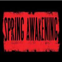 Austin P. McKenzieSpring Awakening (Musical 2014-2016)