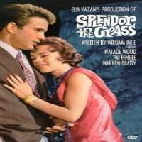 Marla AdamsSplendor in the Grass (1961)