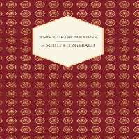 F. Scott FitzgeraldThis Side of Paradise (1920)
