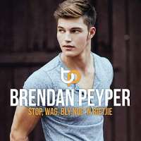 Brendan PeyperStop Wag Bly Nog 'n Bietjie (Album 2015)
