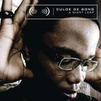 Culoe De SongA Giant Leap (Album 2009)