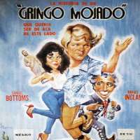 Rebecca JonesEl amor nunca muere (TV Series 1982), Gringo mojado (Film 1984)