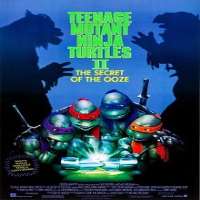 Paige TurcoGuiding Light (Soap Opera 1987-1989), Teenage Mutant Ninja Turtles II: The Secret of the Ooze (Film 1991)