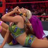 Dana BrookeWorld Wrestling Entertainment (2013)