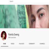 Pamela SwingPamela Swing (YouTube Channel 2014), Pamila Sweng (YouTube Channel 2015)