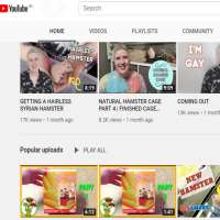 Pickles PetsPickles Pets (YouTube Channel 2008)
