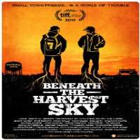 Sarah SutherlandVeep (TV Series 2012-2019), Beneath the Harvest Sky (Film 2013)