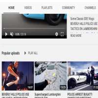 Damon FryerDailyDrivenExotics (YouTube Channel 2013)