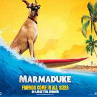 Caroline SunshineWhat's the Word? (TV Series 2008), Marmaduke (Film 2010)
