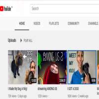 Don s LifeDon's Life (YouTube Channel 2013)