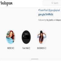 Salice RoseSalicerose (Instagram Account 2013)