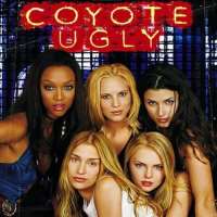 Michael WestonNight Man (TV Series 1998), Coyote Ugly (Film 2000)