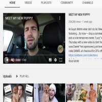 Daniel PredaMister Preda (YouTube Channel 2016)