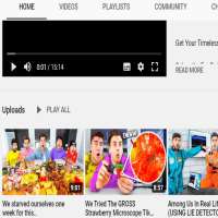 David Rose (YouTuber)Free Time (YouTube Channel 2014)