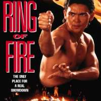 Ron YuanRing of Fire (Film 1991), Vanishing Son (TV Series 1995)