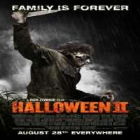 Matt LintzHalloween II (Film 2009), Memphis Beat (TV Series 2010)
