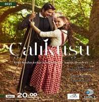 Hande ErcelCalikusu (TV Series 2013)