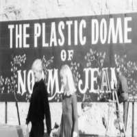 Sam WaterstonThe Plastic Dome of Norma Jean (Film 1965)