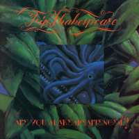 Dan WilsonAre You Shakespearienced? (Album 1989)