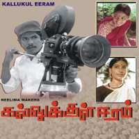 VijayashantiKallukkul Eeram (1980)