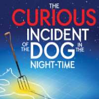 Alex SharpThe Curious Incident of the Dog in the Night-Time (Musical 2014-2015)