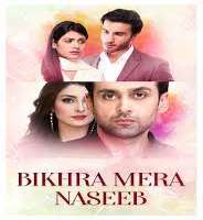 Feroze KhanBikhra Mera Naseeb (2014 TV Serial)