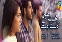 Mira SethiMohabat Subh Ka Sitara Hai (2013 TV Serial)