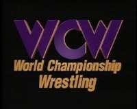 BatistaWorld Championship Wrestling (WCW)