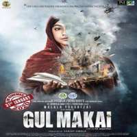Reem ShaikhFilm Gul Makai (2020) as Malala Yousafzai (Lead debut), Neer Bhare Tere Naina Devi (2010) as Lakshmi Devi