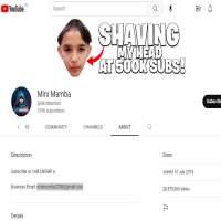 Mini MambaYouTube 